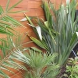 Large Family Garden